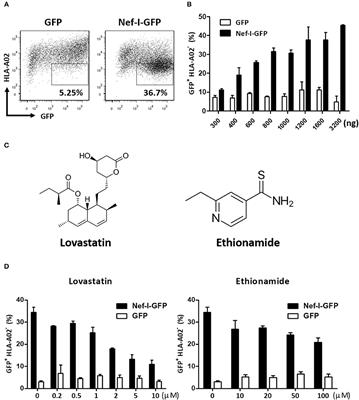 Frontiers Lovastatin Inhibits HIV 1 Induced MHC I Downregulation By